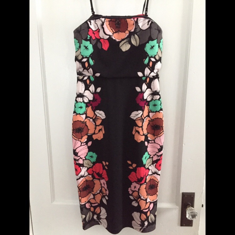 Strapless Placed Floral Print Tube Dress (Express)
